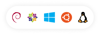 Virtual Server Rental